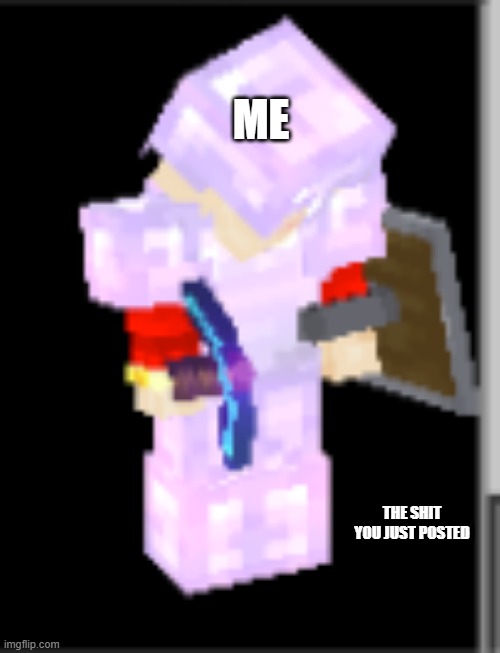 dafuq | ME; THE SHIT YOU JUST POSTED | image tagged in meme,minecraft | made w/ Imgflip meme maker
