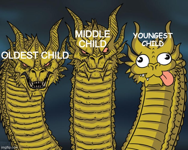 this is how every family funtions | MIDDLE CHILD; YOUNGEST CHILD; OLDEST CHILD | image tagged in three-headed dragon | made w/ Imgflip meme maker