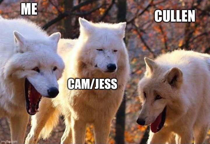 Me and Cullen in a nutshell | ME; CULLEN; CAM/JESS | image tagged in laughing wolf | made w/ Imgflip meme maker