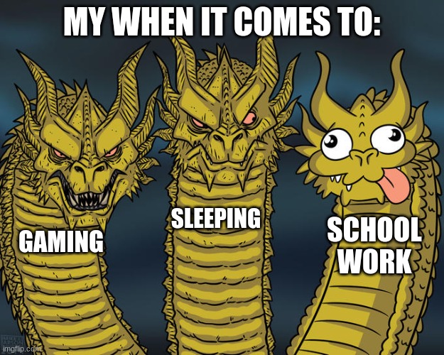 Three-headed Dragon | MY WHEN IT COMES TO:; SLEEPING; SCHOOL WORK; GAMING | image tagged in three-headed dragon | made w/ Imgflip meme maker