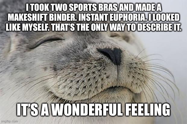 I had to take it off and put it in my literal closet because of… family. | I TOOK TWO SPORTS BRAS AND MADE A MAKESHIFT BINDER. INSTANT EUPHORIA. I LOOKED LIKE MYSELF. THAT’S THE ONLY WAY TO DESCRIBE IT. IT’S A WONDERFUL FEELING | image tagged in memes,satisfied seal,euphoria,lgbtq,binder | made w/ Imgflip meme maker