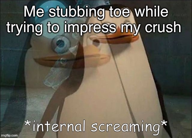 Private Internal Screaming | Me stubbing toe while trying to impress my crush | image tagged in private internal screaming | made w/ Imgflip meme maker