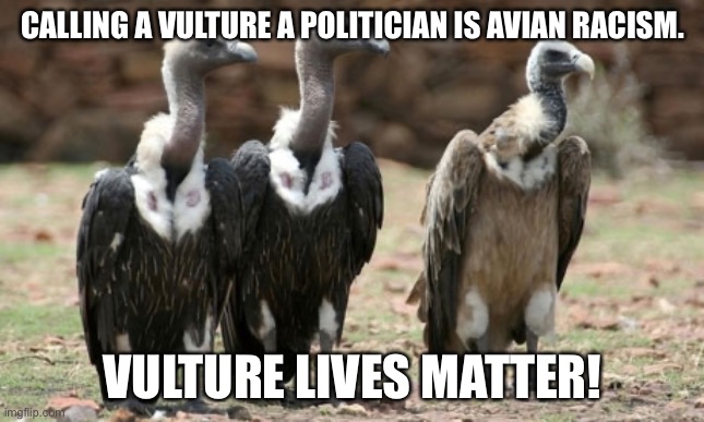vulture politicians |  CALLING A VULTURE A POLITICIAN IS AVIAN RACISM. VULTURE LIVES MATTER! | image tagged in vulture politicians | made w/ Imgflip meme maker