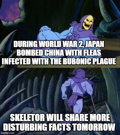 hi | DURING WORLD WAR 2, JAPAN BOMBED CHINA WITH FLEAS INFECTED WITH THE BUBONIC PLAGUE; SKELETOR WILL SHARE MORE DISTURBING FACTS TOMORROW | image tagged in skeletor disturbing facts | made w/ Imgflip meme maker