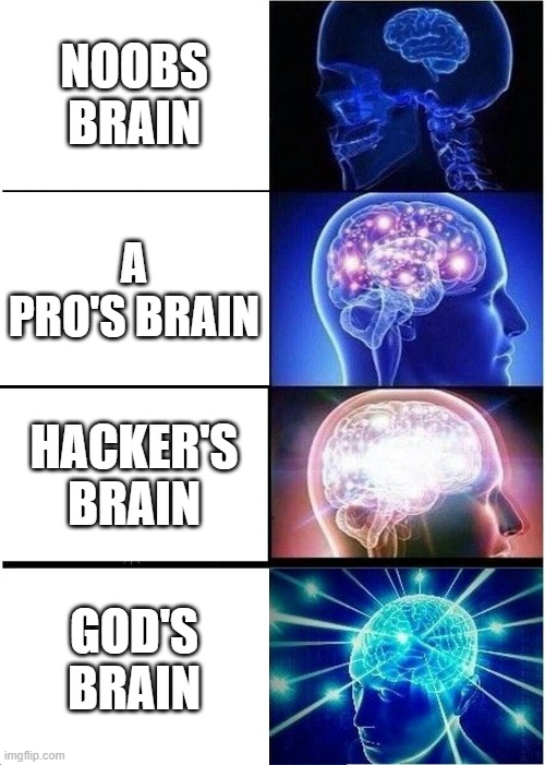 Expanding Brain | NOOBS BRAIN; A PRO'S BRAIN; HACKER'S BRAIN; GOD'S BRAIN | image tagged in memes,expanding brain | made w/ Imgflip meme maker