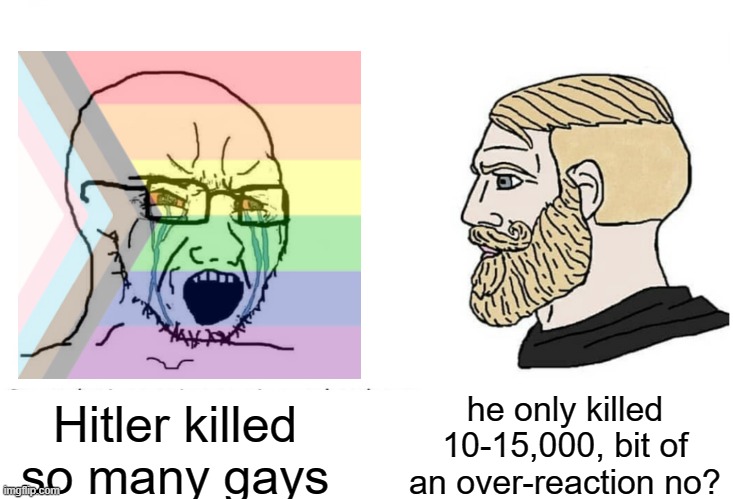 While it wasn't a good thing, it seems to me that the Nazi's killed gays less when we mentioned the main groups of people killed | he only killed 10-15,000, bit of an over-reaction no? Hitler killed so many gays | image tagged in soyboy vs yes chad,nazis,gay | made w/ Imgflip meme maker
