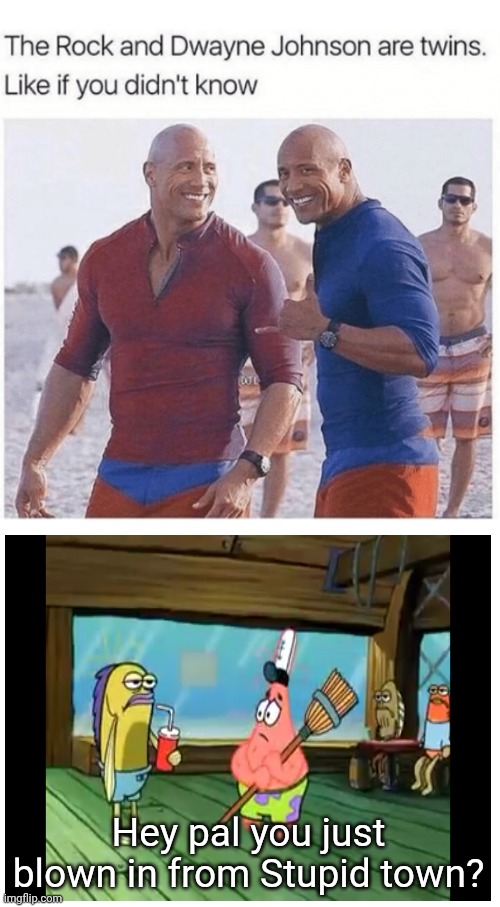 Dwayne The Rock Johnson | Hey pal you just blown in from Stupid town? | image tagged in the rock,memes,spongebob,oh wow are you actually reading these tags | made w/ Imgflip meme maker