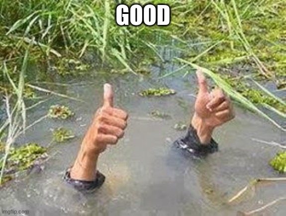 FLOODING THUMBS UP | GOOD | image tagged in flooding thumbs up | made w/ Imgflip meme maker