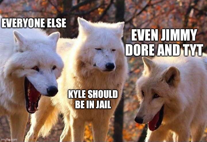 Laughing wolf | EVEN JIMMY DORE AND TYT KYLE SHOULD BE IN JAIL EVERYONE ELSE | image tagged in laughing wolf | made w/ Imgflip meme maker