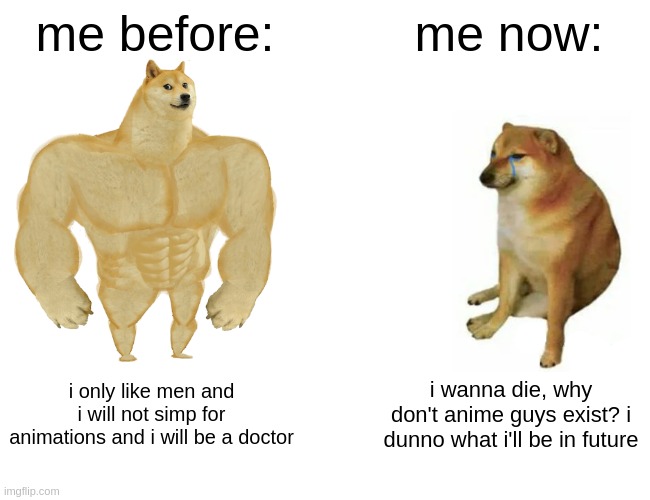 simply me | me before:; me now:; i only like men and i will not simp for animations and i will be a doctor; i wanna die, why don't anime guys exist? i dunno what i'll be in future | image tagged in memes,buff doge vs cheems | made w/ Imgflip meme maker