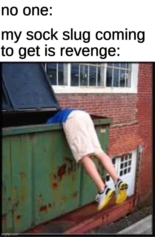 hehe | no one:; my sock slug coming to get is revenge: | image tagged in garbage | made w/ Imgflip meme maker