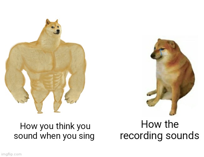 Fr tho? | How the recording sounds; How you think you sound when you sing | image tagged in memes,buff doge vs cheems | made w/ Imgflip meme maker