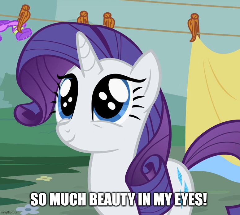 SO MUCH BEAUTY IN MY EYES! | made w/ Imgflip meme maker