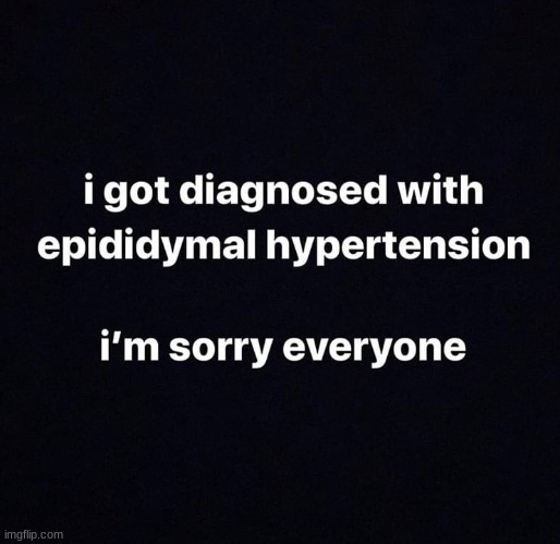 spread the word of epididymal hypertension guys im suffering really bad | made w/ Imgflip meme maker