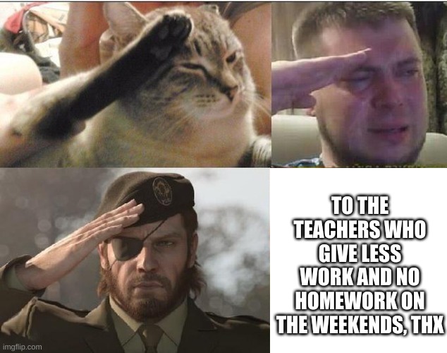 they make our lives a little bit easier... | TO THE TEACHERS WHO GIVE LESS WORK AND NO HOMEWORK ON THE WEEKENDS, THX | image tagged in ozon's salute,memes,so true memes | made w/ Imgflip meme maker