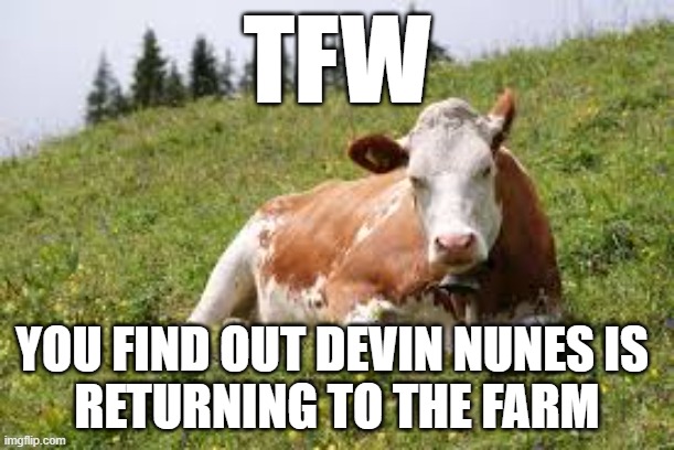 Devin Nunes' Cow Has Opinions | TFW; YOU FIND OUT DEVIN NUNES IS 
RETURNING TO THE FARM | image tagged in devin nunes,cows,resigning,ushouse | made w/ Imgflip meme maker
