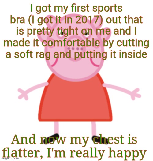 Xudiaihsljajzh | I got my first sports bra (I got it in 2017) out that is pretty tight on me and I made it comfortable by cutting a soft rag and putting it inside; And now my chest is flatter, I'm really happy | image tagged in yes | made w/ Imgflip meme maker