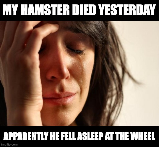 RIP | MY HAMSTER DIED YESTERDAY; APPARENTLY HE FELL ASLEEP AT THE WHEEL | image tagged in memes,first world problems | made w/ Imgflip meme maker