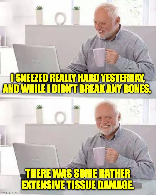 Sneeze | I SNEEZED REALLY HARD YESTERDAY, AND WHILE I DIDN’T BREAK ANY BONES, THERE WAS SOME RATHER EXTENSIVE TISSUE DAMAGE. | image tagged in memes,hide the pain harold | made w/ Imgflip meme maker