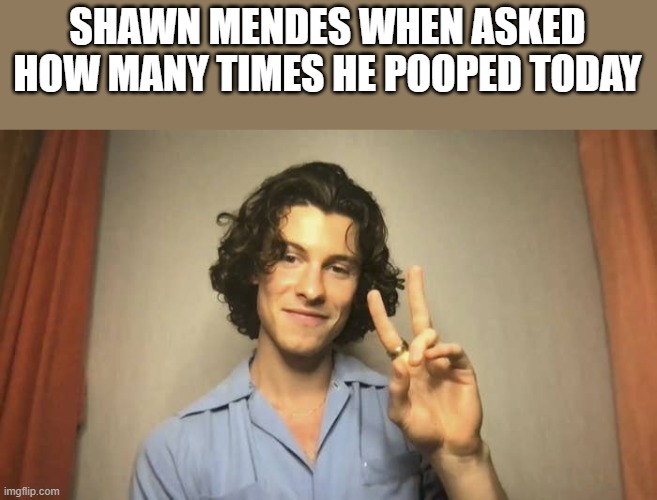 How Many Times Shawn Mendes Pooped Today |  SHAWN MENDES WHEN ASKED HOW MANY TIMES HE POOPED TODAY | image tagged in shawn mendes,poop,pooped,funny,funny memes,memes | made w/ Imgflip meme maker