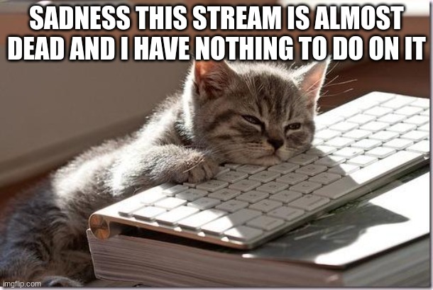 Bored Keyboard Cat | SADNESS THIS STREAM IS ALMOST DEAD AND I HAVE NOTHING TO DO ON IT | image tagged in bored keyboard cat | made w/ Imgflip meme maker