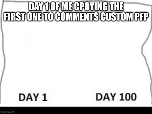 Day 1-100 | DAY 1 OF ME CPOYING THE FIRST ONE TO COMMENTS CUSTOM PFP | image tagged in day 1-100 | made w/ Imgflip meme maker