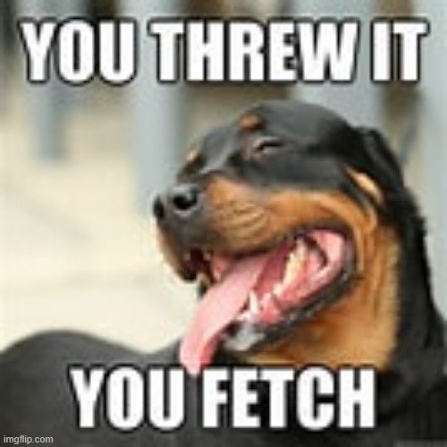 you threw it you fetch | image tagged in sus | made w/ Imgflip meme maker