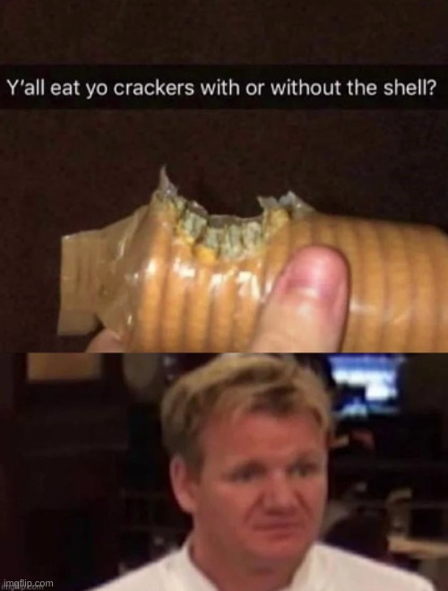 why.... just why | image tagged in why,gordon ramsay,memes,funny,funny memes | made w/ Imgflip meme maker
