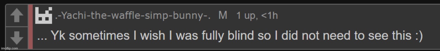 fully blind | image tagged in fully blind | made w/ Imgflip meme maker