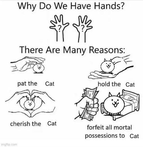 Cat | Cat; Cat; Cat; Cat | image tagged in why do we have hands all blank,cat | made w/ Imgflip meme maker