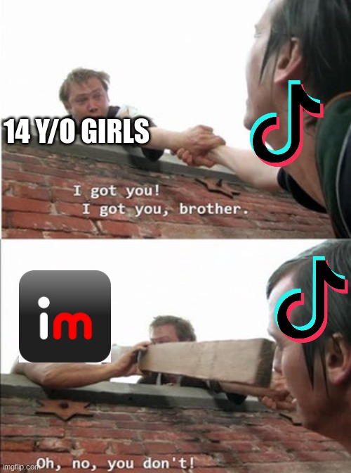 the fall of tiktok | 14 Y/O GIRLS | image tagged in blank white template,memes,funny,tiktok sucks | made w/ Imgflip meme maker