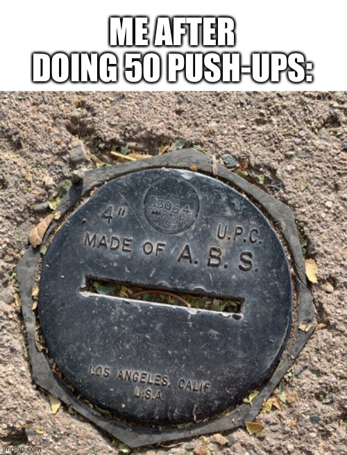 Made of abs | ME AFTER DOING 50 PUSH-UPS: | image tagged in abs | made w/ Imgflip meme maker