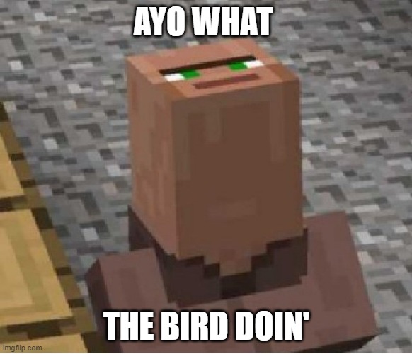 sometimes birds are so majestic | AYO WHAT; THE BIRD DOIN' | image tagged in minecraft villager looking up | made w/ Imgflip meme maker