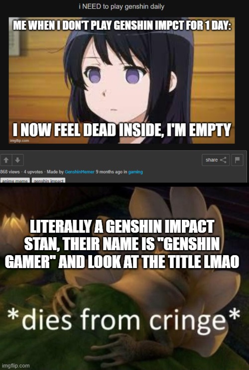 Go outside | LITERALLY A GENSHIN IMPACT STAN, THEIR NAME IS ''GENSHIN GAMER'' AND LOOK AT THE TITLE LMAO | image tagged in dies from cringe | made w/ Imgflip meme maker