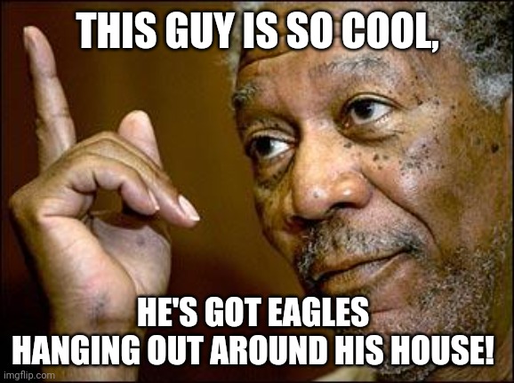 This Morgan Freeman | THIS GUY IS SO COOL, HE'S GOT EAGLES HANGING OUT AROUND HIS HOUSE! | image tagged in this morgan freeman | made w/ Imgflip meme maker