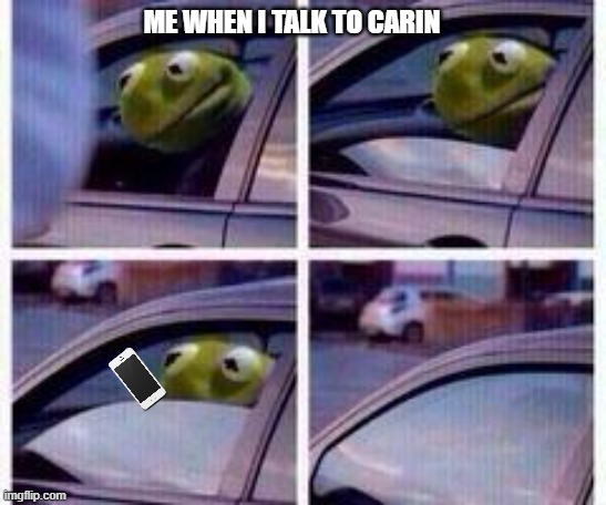 how to talk to karen | ME WHEN I TALK TO CARIN | image tagged in kermit rolls up window | made w/ Imgflip meme maker