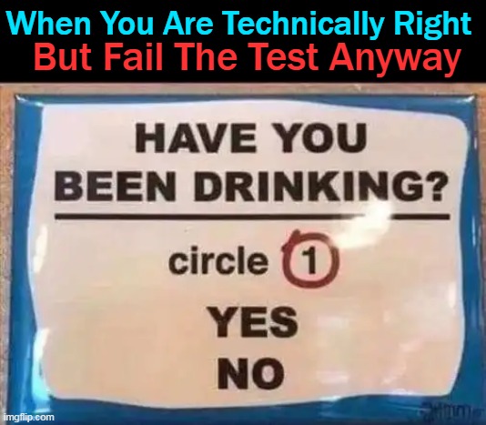 You Can't Win For Losing.... |  When You Are Technically Right; But Fail The Test Anyway | image tagged in fun,wrong answer,lol,dui,funny not funny | made w/ Imgflip meme maker