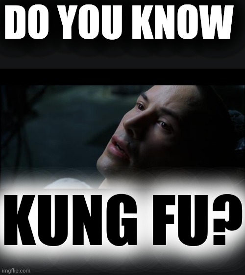 i know kung fu | DO YOU KNOW KUNG FU? | image tagged in i know kung fu | made w/ Imgflip meme maker