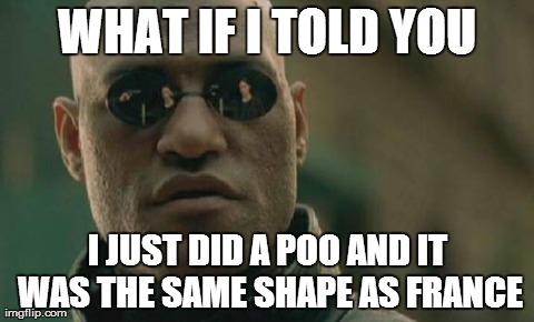 What if I told you | WHAT IF I TOLD YOU I JUST DID A POO AND IT WAS THE SAME SHAPE AS FRANCE | image tagged in memes,matrix morpheus | made w/ Imgflip meme maker