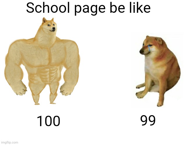 That one kid in school your page | School page be like; 99; 100 | image tagged in memes,buff doge vs cheems | made w/ Imgflip meme maker