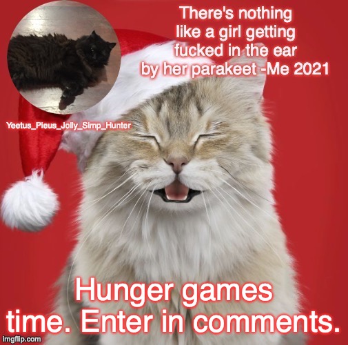 Christmas Template | Hunger games time. Enter in comments. | image tagged in christmas template | made w/ Imgflip meme maker