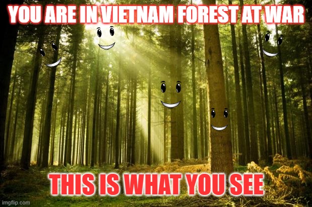 oh no.... | YOU ARE IN VIETNAM FOREST AT WAR; THIS IS WHAT YOU SEE | image tagged in sunlit forest | made w/ Imgflip meme maker