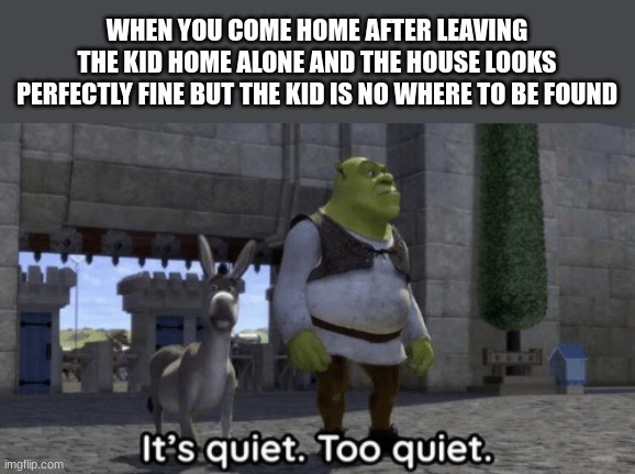 its quiet | WHEN YOU COME HOME AFTER LEAVING THE KID HOME ALONE AND THE HOUSE LOOKS PERFECTLY FINE BUT THE KID IS NO WHERE TO BE FOUND | image tagged in it s quiet too quiet shrek,home alone | made w/ Imgflip meme maker