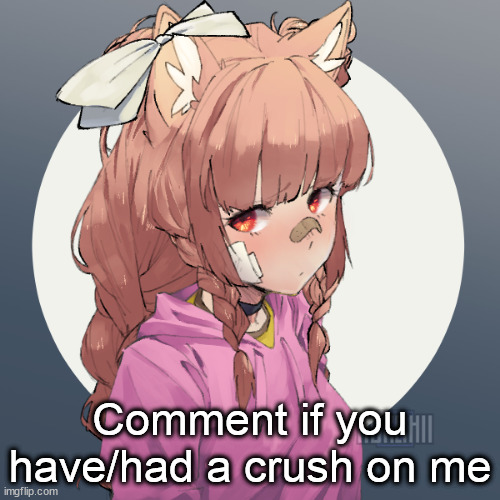 Comment if you have/had a crush on me | image tagged in ginger 3 | made w/ Imgflip meme maker