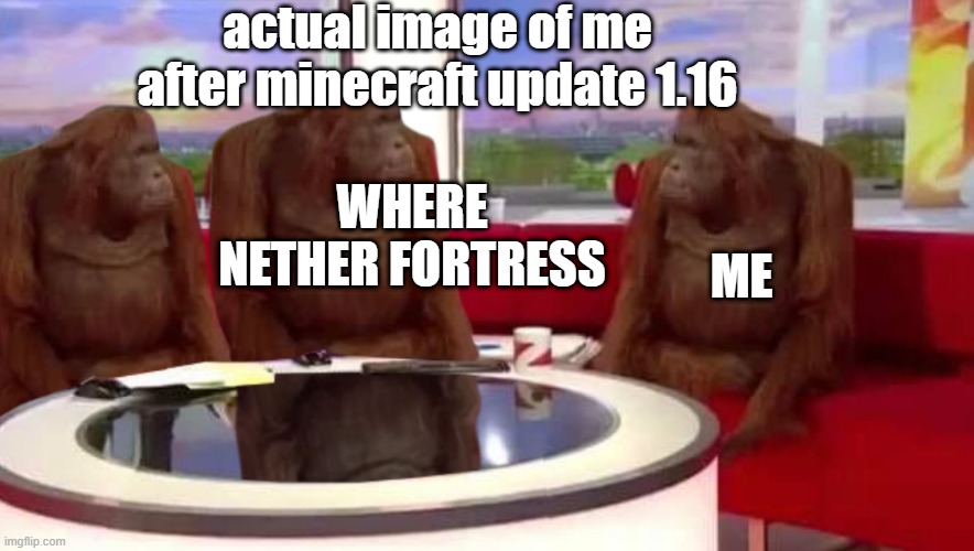 they actually forgot to add nether fortress's | actual image of me after minecraft update 1.16; WHERE NETHER FORTRESS; ME | image tagged in where monkey,minecraft,nether fortress | made w/ Imgflip meme maker