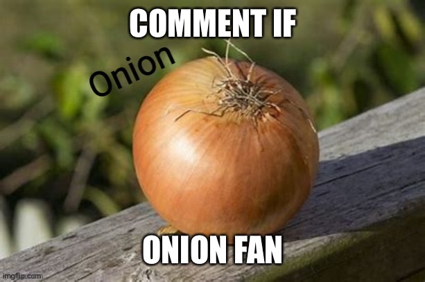 Onion | COMMENT IF; ONION FAN | image tagged in onion | made w/ Imgflip meme maker