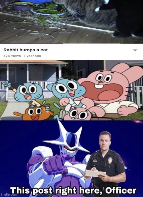 Gumball but wait- WHAT | image tagged in what | made w/ Imgflip meme maker