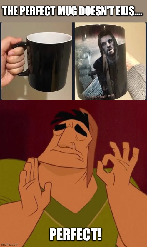 YOU'RE FINALLY AWAKE | THE PERFECT MUG DOESN'T EXIS.... PERFECT! | image tagged in when x just right,skyrim,skyrim meme,mug | made w/ Imgflip meme maker