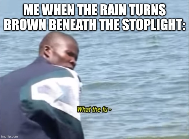 What the fu- | ME WHEN THE RAIN TURNS BROWN BENEATH THE STOPLIGHT: | image tagged in what the fu- | made w/ Imgflip meme maker