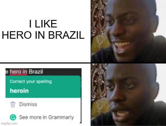 Grammaly is good.... | I LIKE HERO IN BRAZIL | image tagged in oh yeah oh no | made w/ Imgflip meme maker